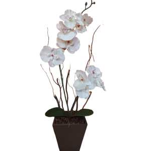 Arranjo De Orquídea Branca