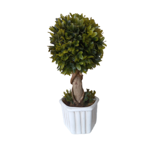 Vaso Decorativo Buchinha